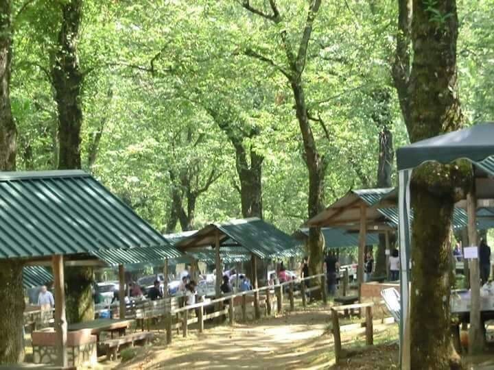Area Pic-Nic Agriturismo Torchia-Serino必去景点