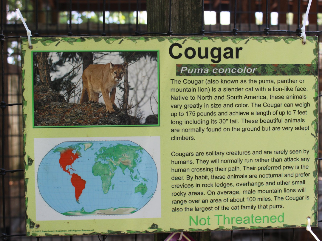 Uncle Donald's Farm-Lady Lake必去景点