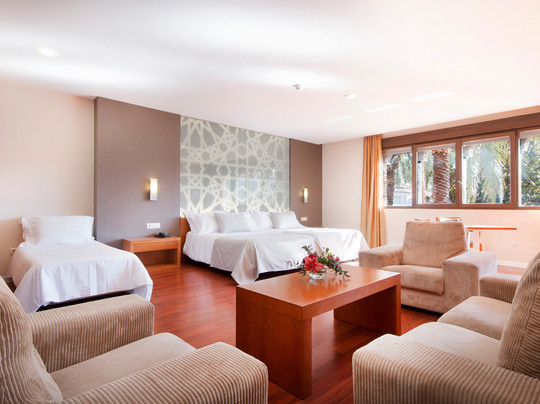 Cajar酒店住宿-格拉纳达宫殿酒店