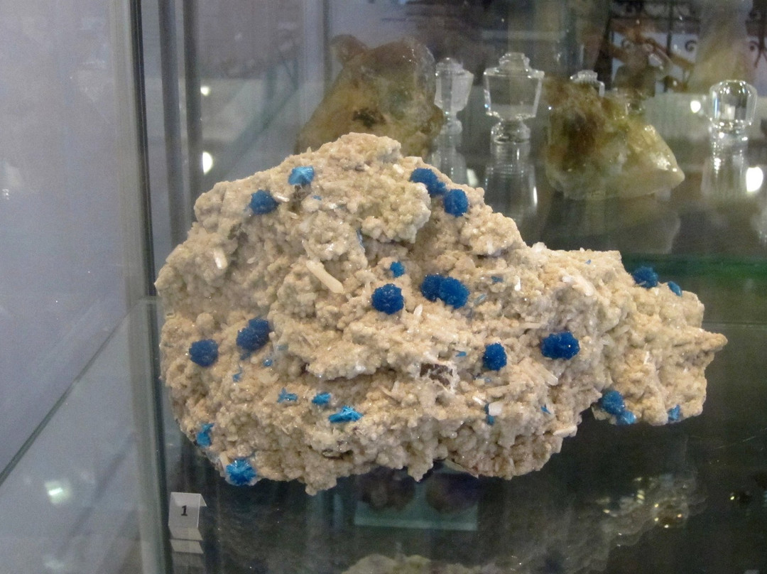 Nature and Environmental Protection Museum-Nizhny Tagil必去景点