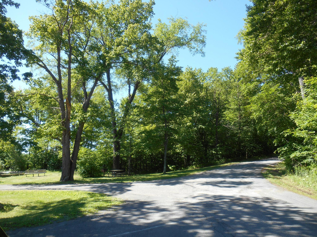 Gouldsboro State Park景点图片
