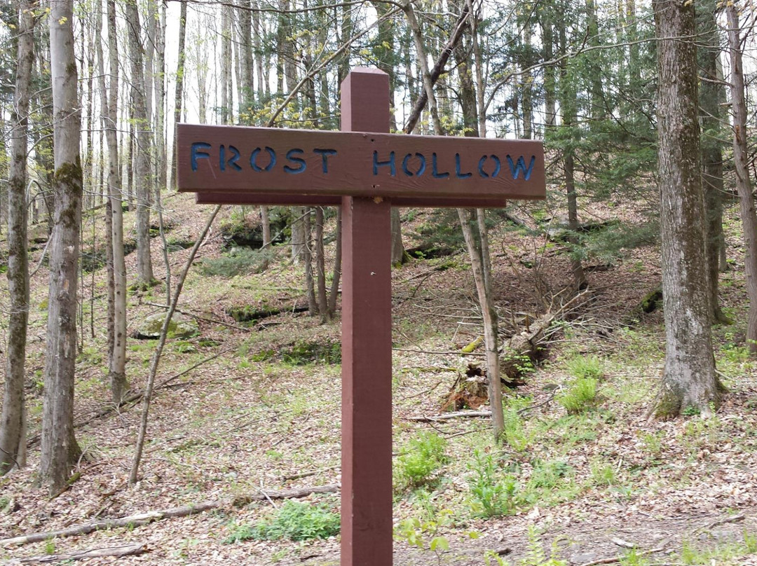 Lackawanna State Park景点图片