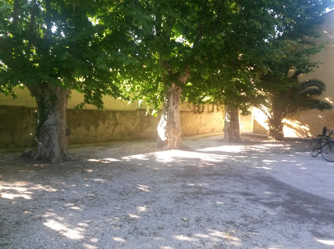 Giardino dei Platani景点图片