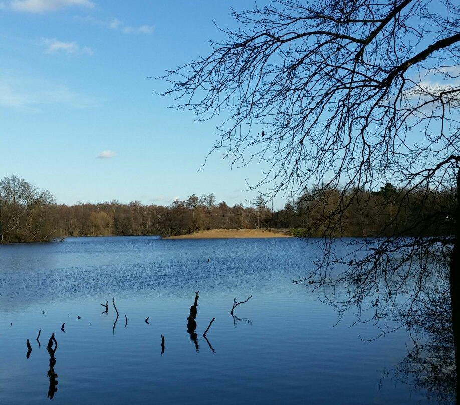 Blauer See Duisburg-Bissingheim景点图片