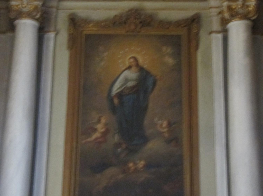 Chiesa della Collegiata景点图片