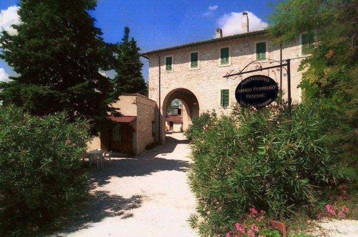 Agriturismo "Antico Frantoio"