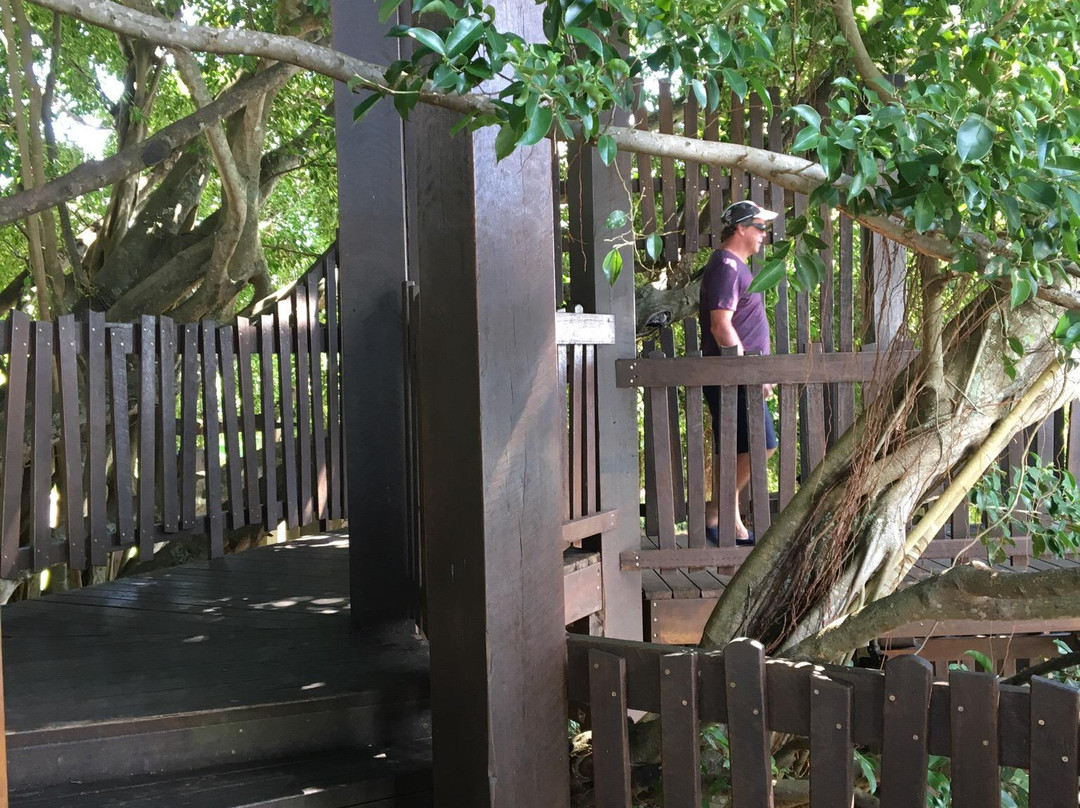 Figtree Playground-凯恩斯必去景点