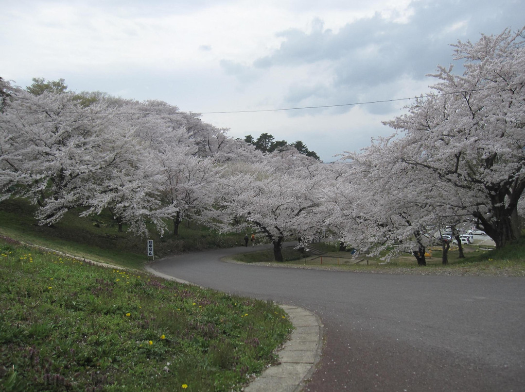 Eboshiyama Park-南阳市必去景点
