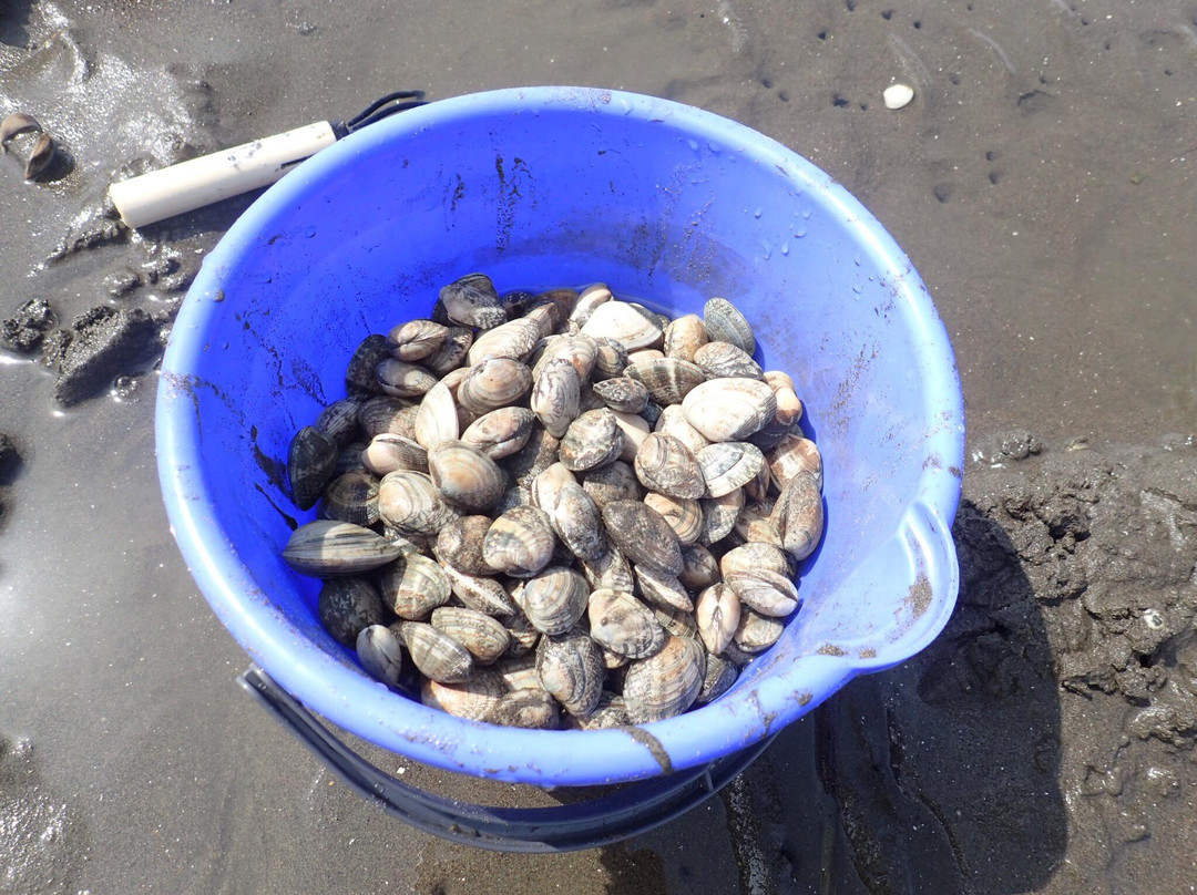 Futtsu Beach-富津市必去景点