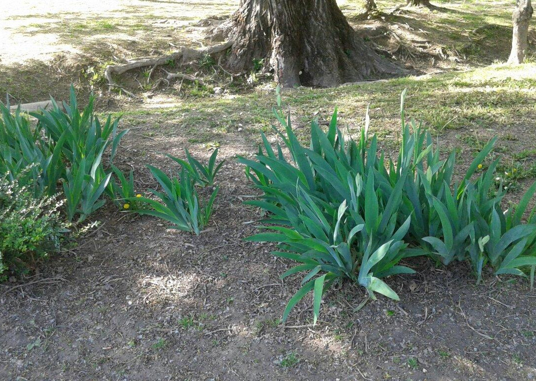 Parco Iris-帕多瓦必去景点