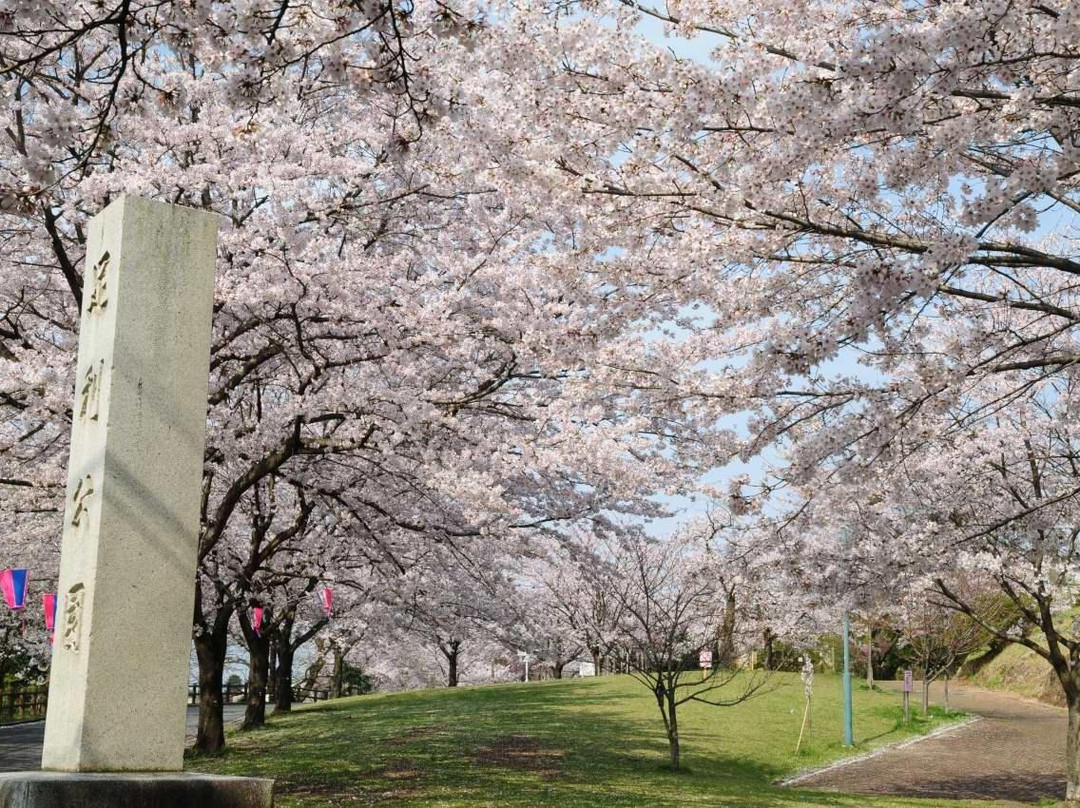 Ashikaga Park-足利市必去景点