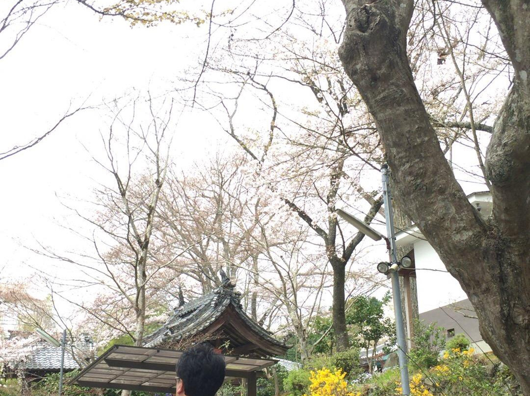 Jizozenin Temple-井手町必去景点