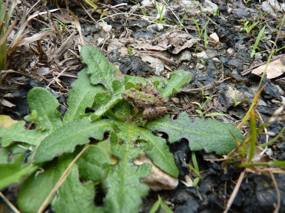 Congaree Creek Heritage Preserve-Cayce必去景点