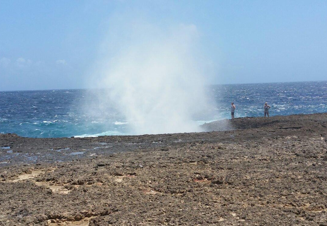Suplado-Washington-Slagbaai National Park必去景点