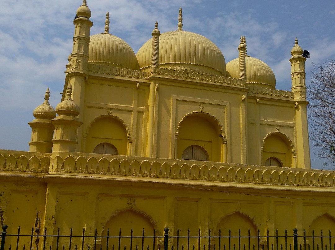 Yellow Mosque景点图片