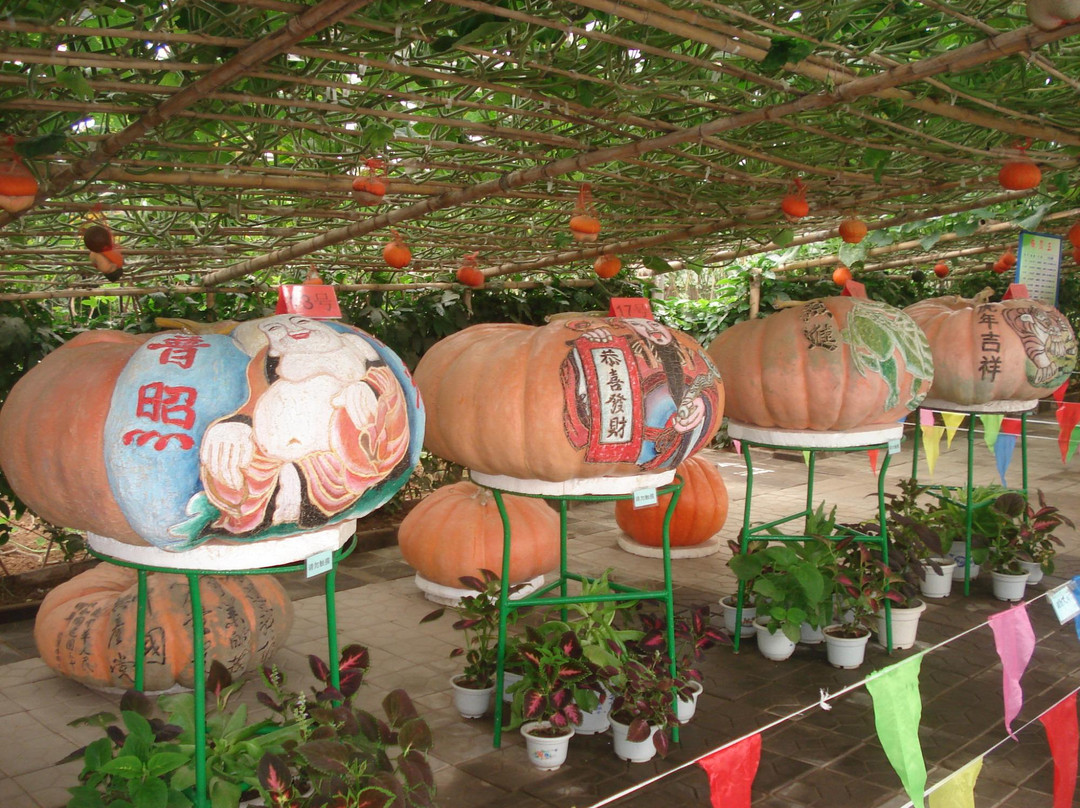 集发农业观光园-秦皇岛市必去景点