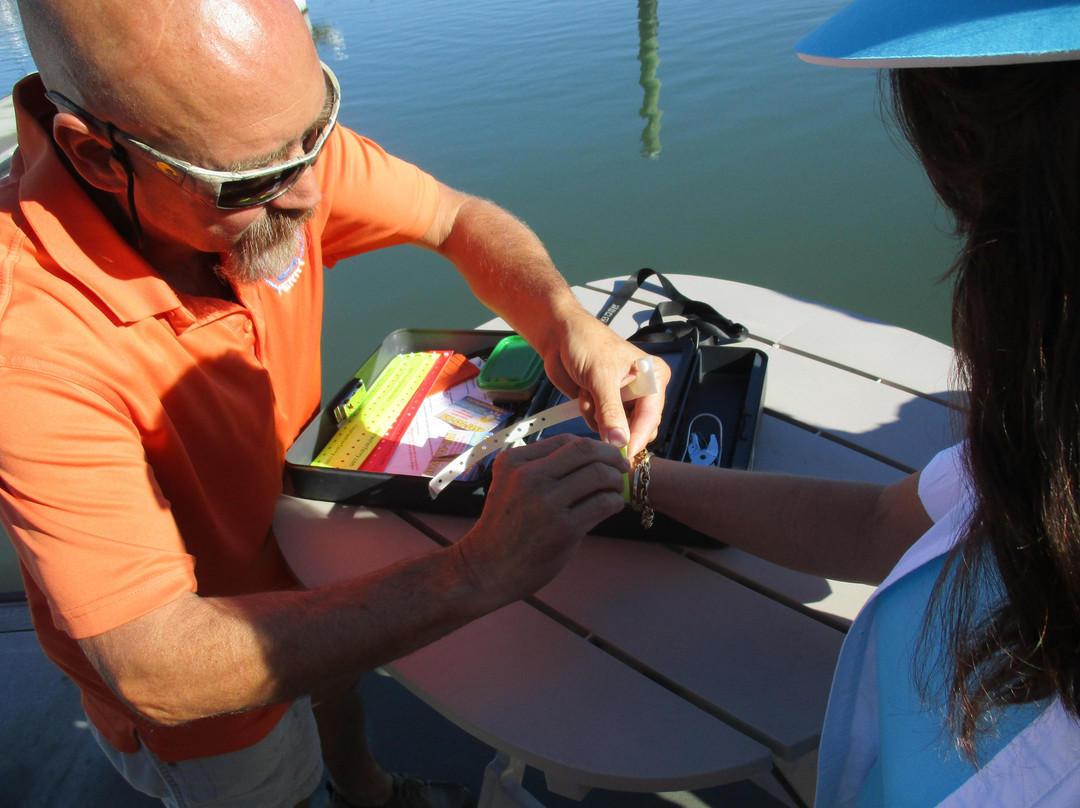 Clearwater Ferry-克利尔沃特必去景点