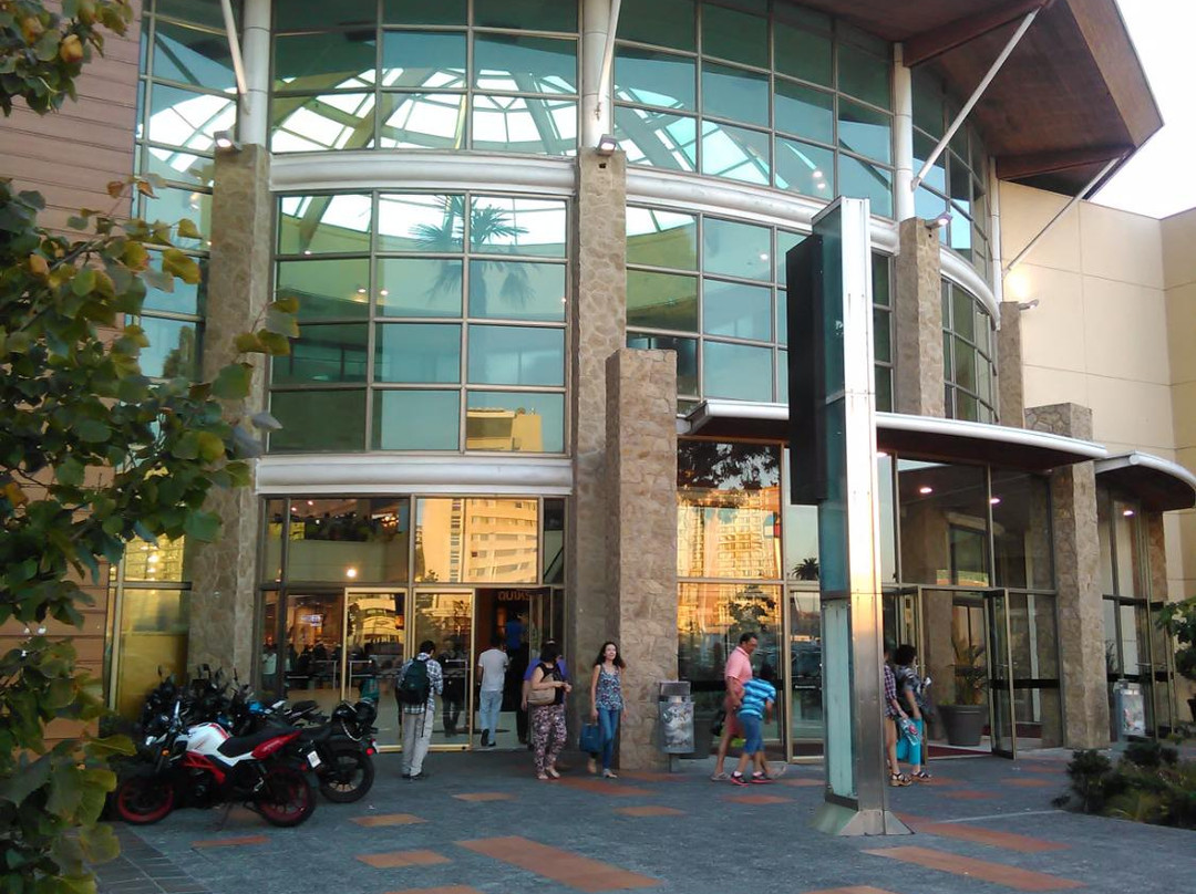 Mall Plaza Trebol-康塞普西翁必去景点