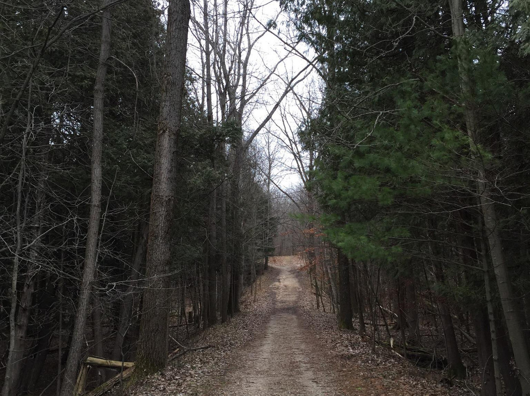 Deerfield Nature Park景点图片