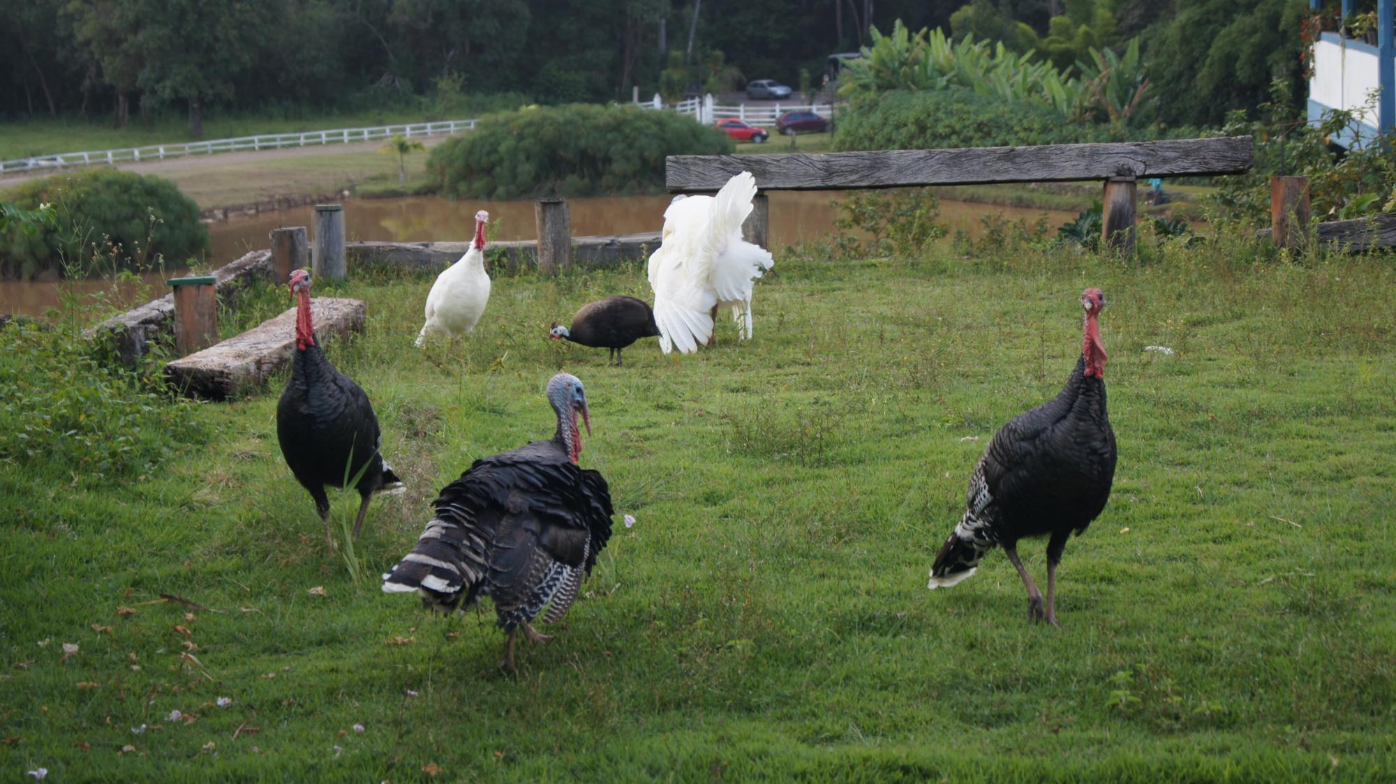 法申达皮多莫洛酒店-浴室