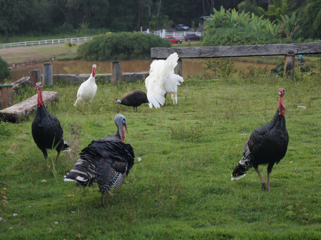 法申达皮多莫洛酒店主图
