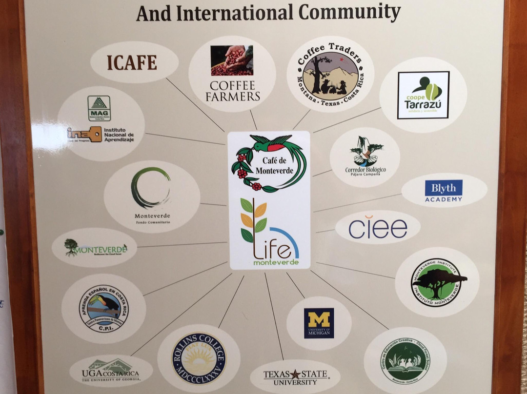 Life Monteverde-Los Tornos必去景点