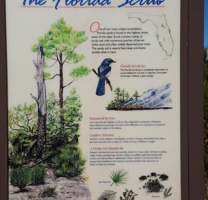 Cedar Key Scrub State Reserve景点图片