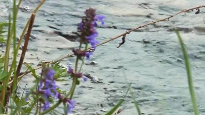 Lake Ingol-Sorokino必去景点