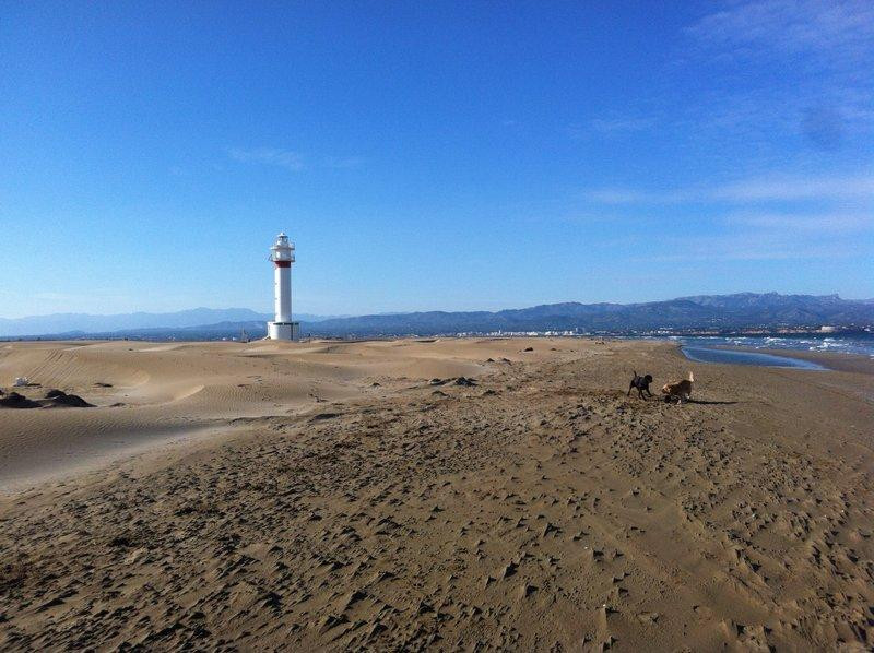 Playa La Punta del Fangar景点图片