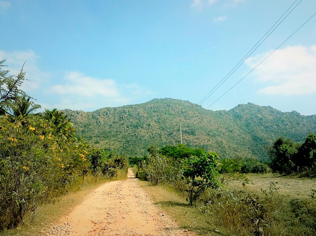 Doddahotrangappa Hill景点图片