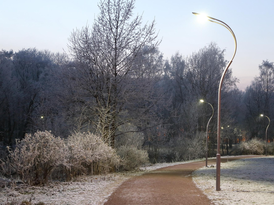 The Amusement Park in the Yesenin's Park-圣彼得堡必去景点