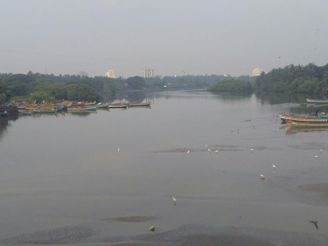 Kallai River景点图片