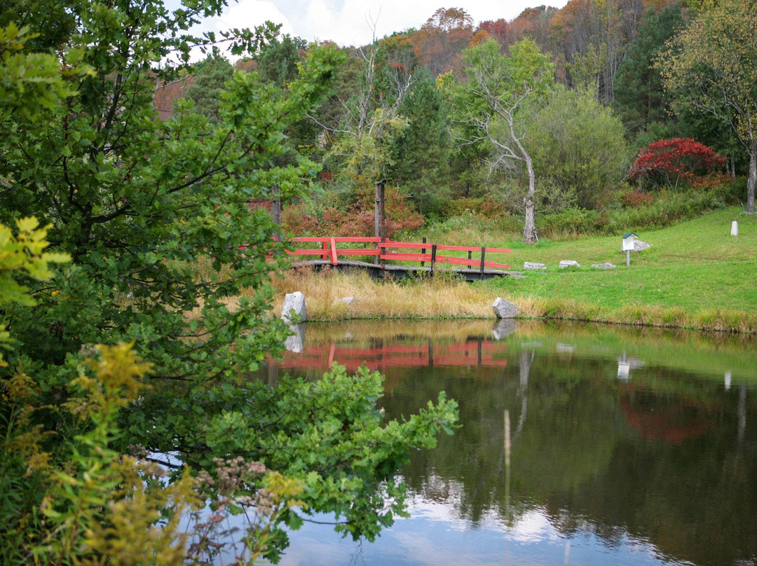 Nannen Arboreum-Ellicottville必去景点
