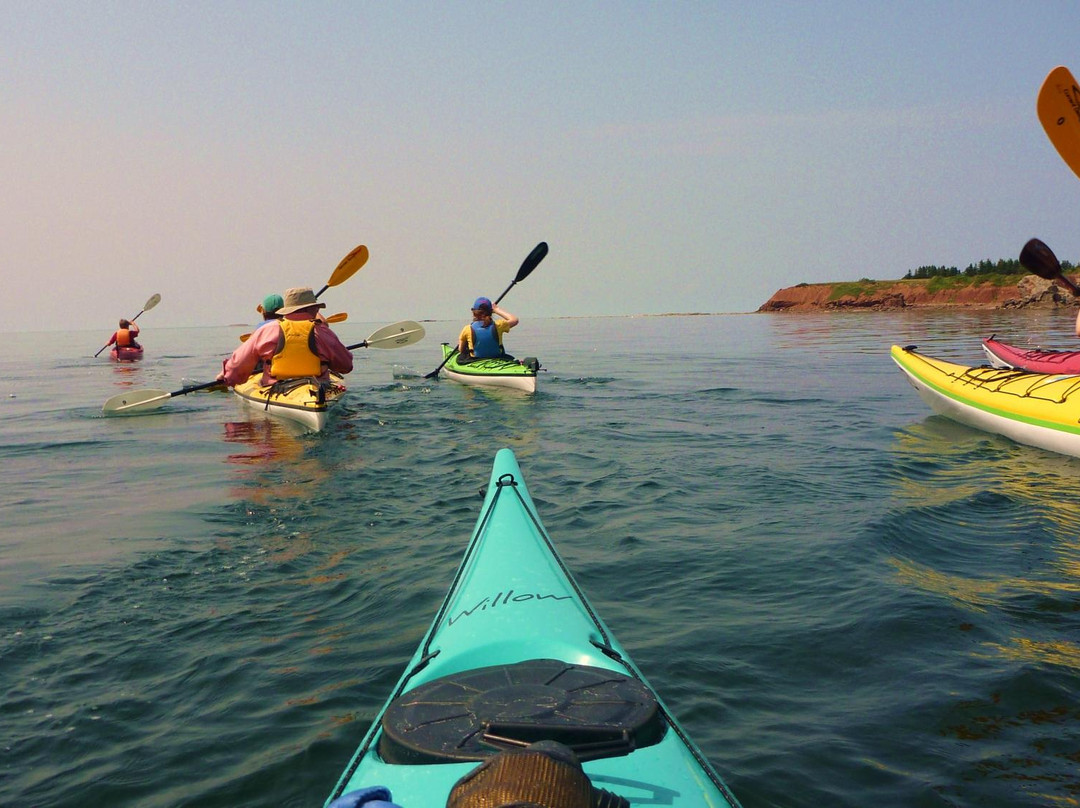 Coastal Spirit Expeditions-Cape John必去景点