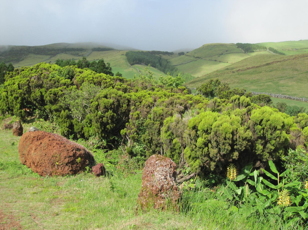 Reserva Florestal de Recreo de Macelas-Velas必去景点