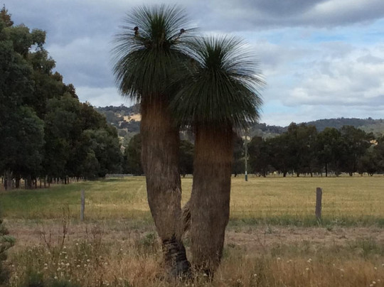 Shannon National Park