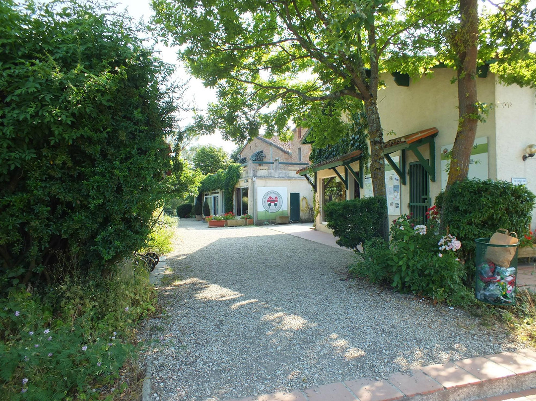 Lavalette餐馆和美食-Restaurant du Golf Saint Gabriel