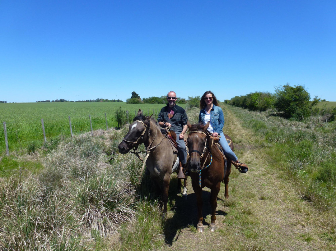Cabalgatas Ikebana Colonia