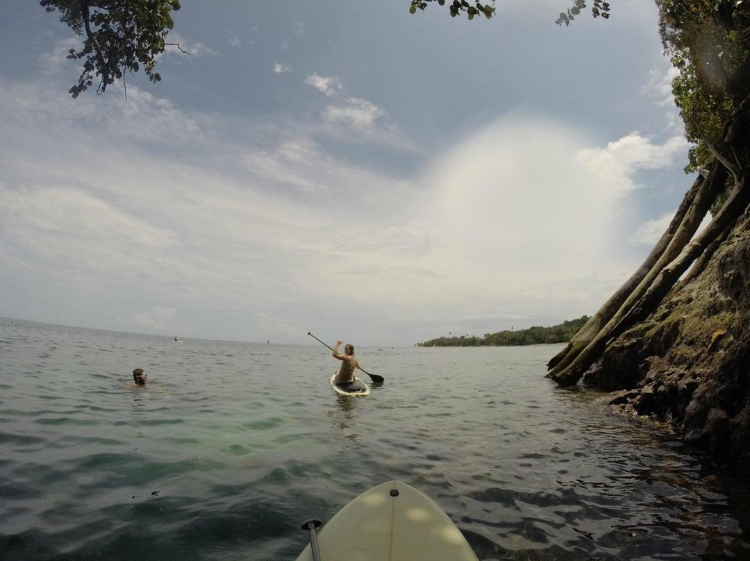 Green Water SUP Tours-Punta Uva必去景点