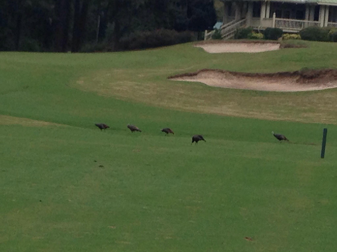 The Witch-Conway必去景点