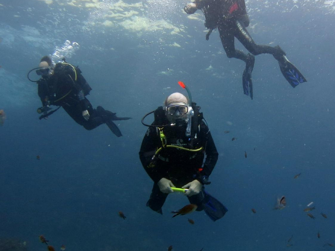 New Horizons Snorkel & Dive Centre-麦克尔斯菲尔德必去景点
