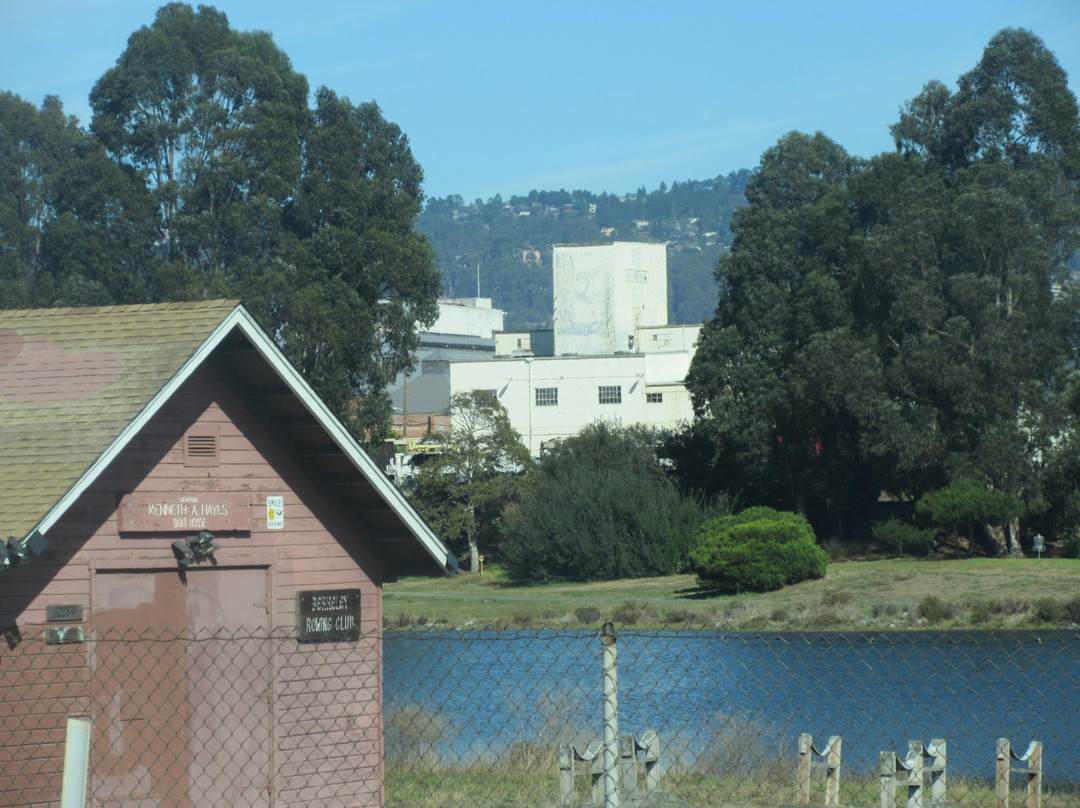 Aquatic Park-伯克利必去景点