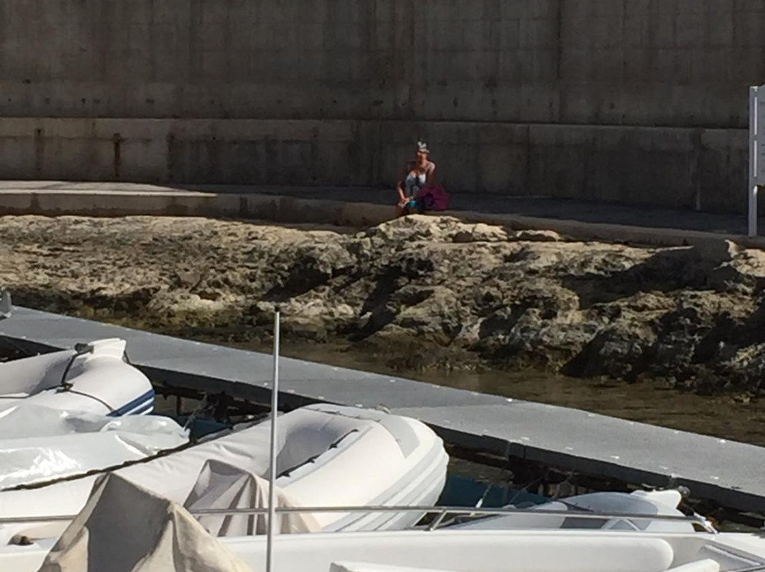 D1 Watersports-圣朱利安斯必去景点