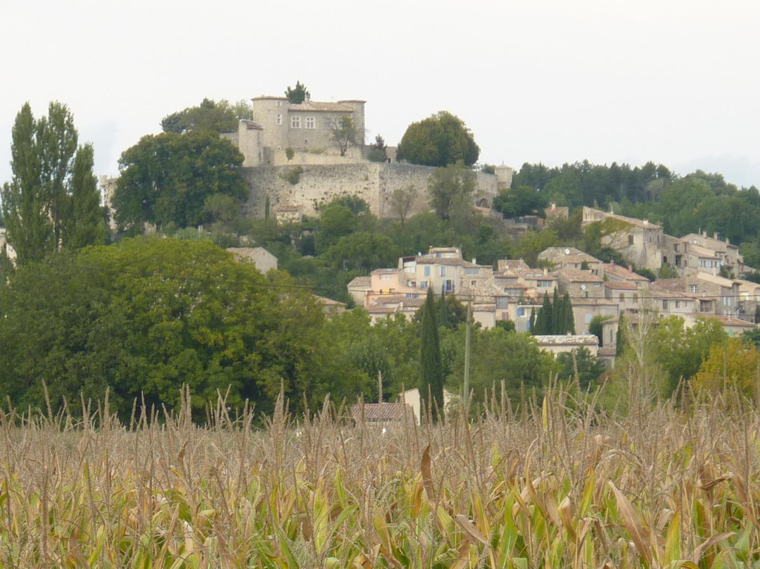 Citadelle de Mane景点图片