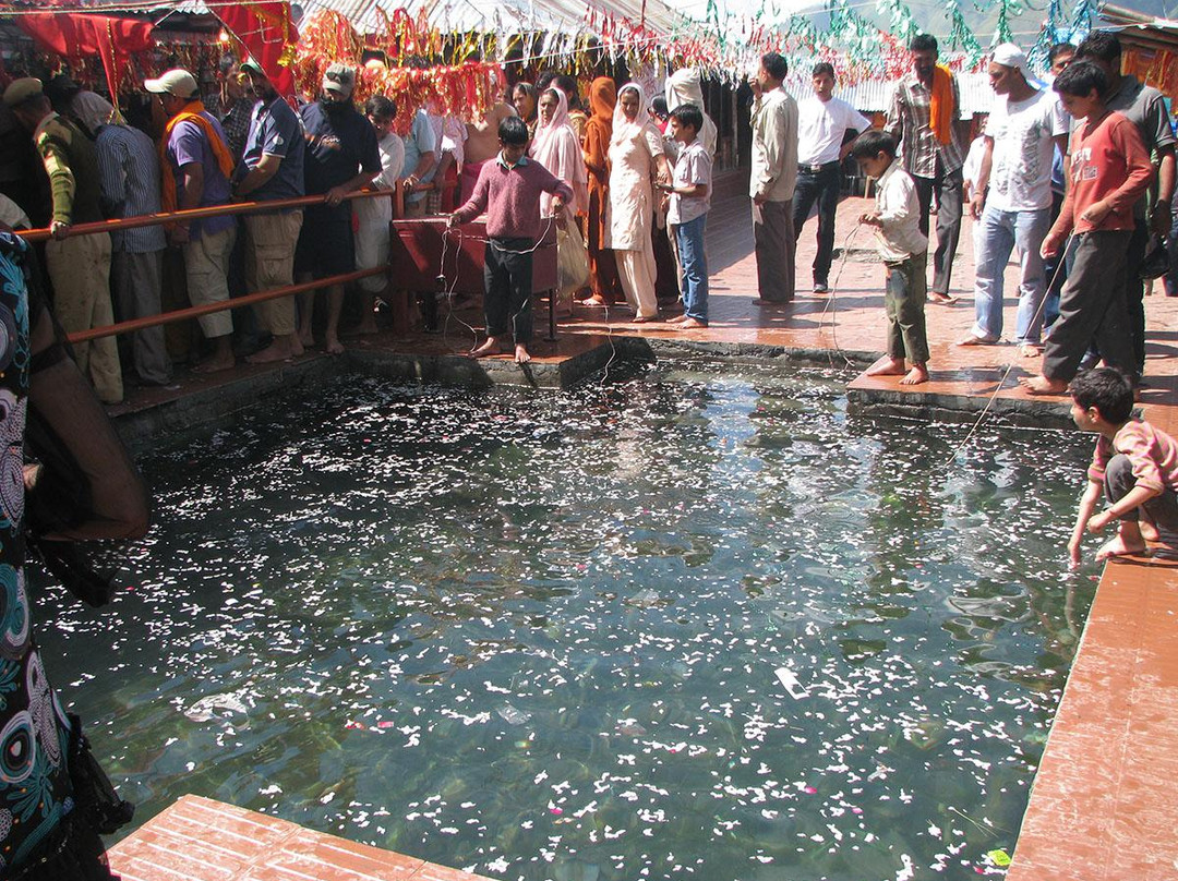 Bharmani Mata Temple景点图片