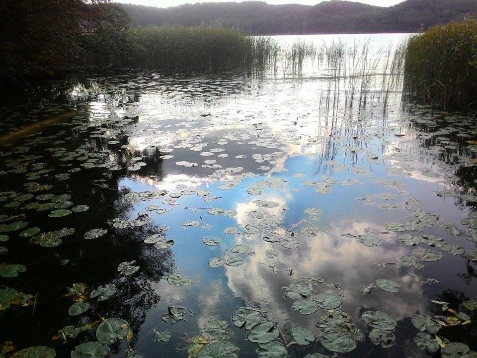 Buckow旅游攻略图片