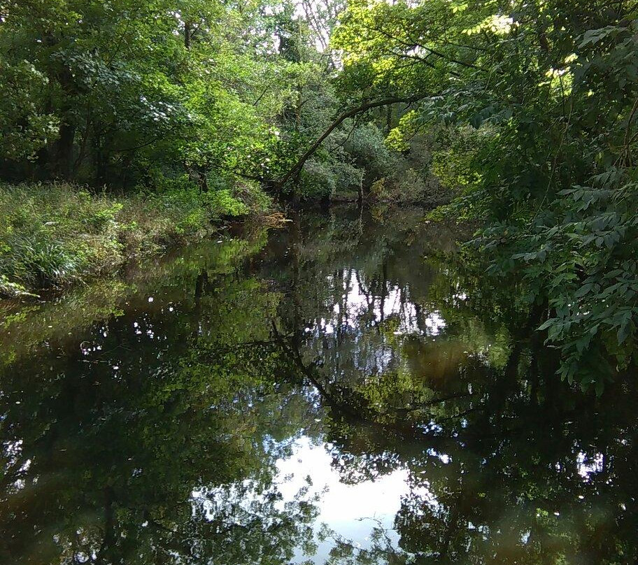Ballincollig Regional Park-科克必去景点