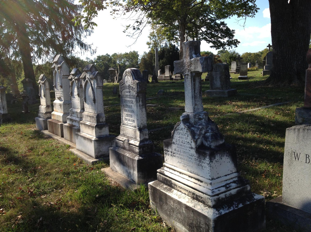 Elmwood Cemetery景点图片