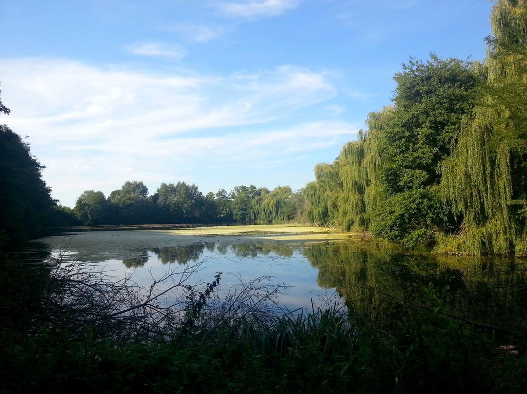 Bonnefamille旅游攻略图片