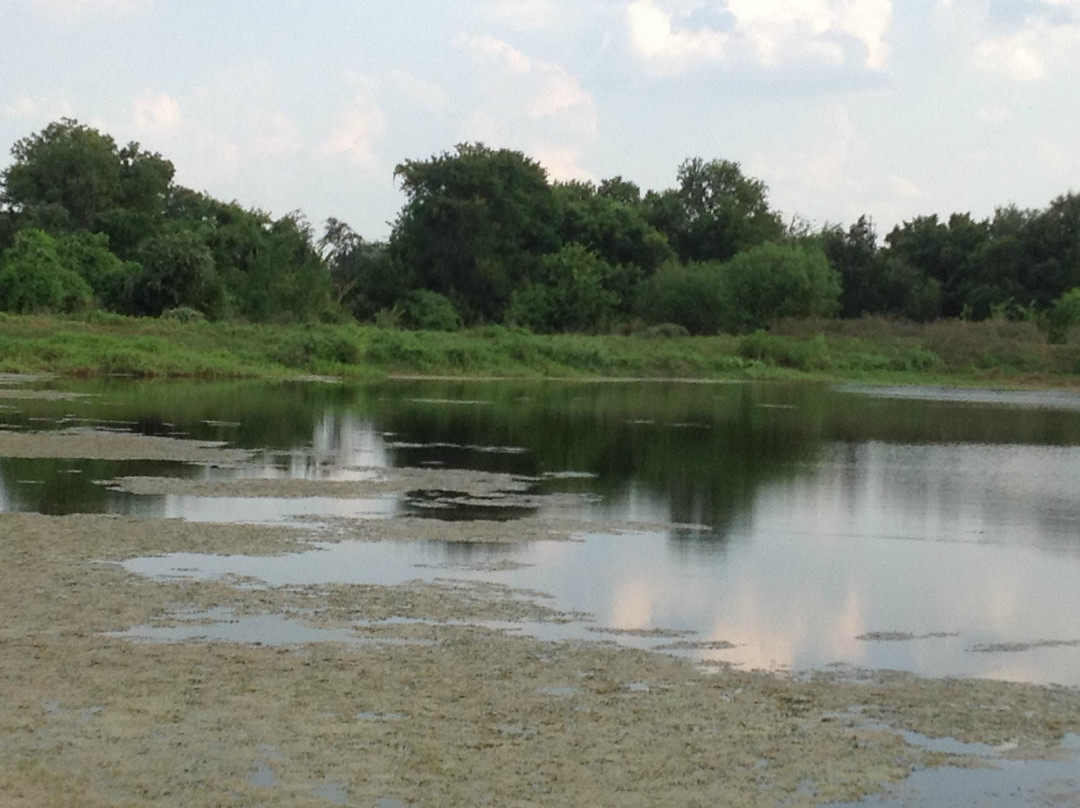 Saddlehorn Winery-Burton必去景点